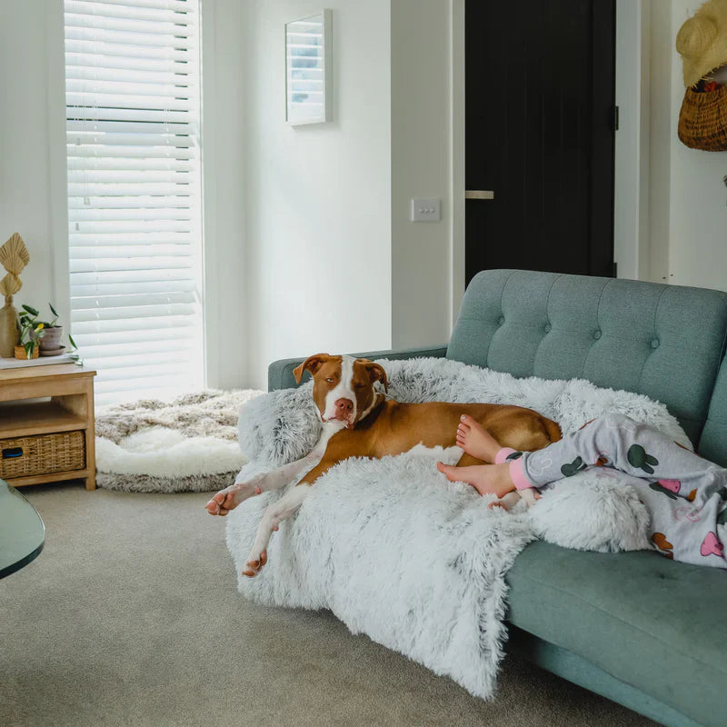 MisterWoofs™ Calming Furniture Protector