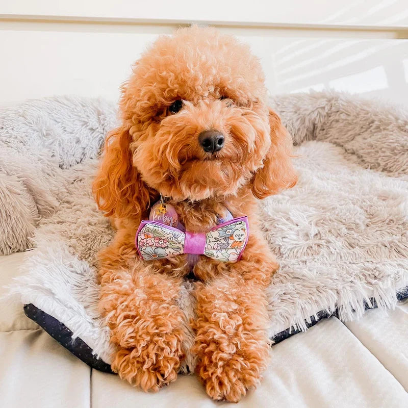 MisterWoofs™ Calming Furniture Protector